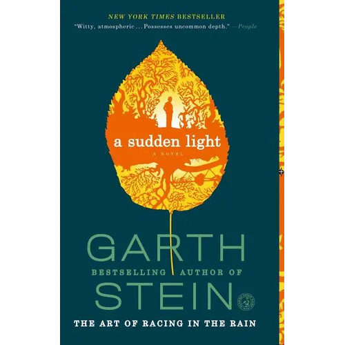 A Sudden Light - Paperback