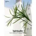 Spirituality: Aperture 237 - Paperback