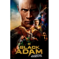Black Adam: The Justice Society Files - Paperback