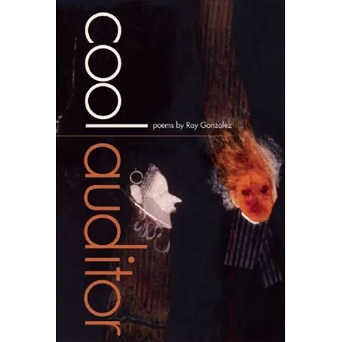 Cool Auditor - Paperback
