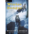 Winter Danger - Paperback