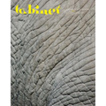Cabinet 66 - Paperback
