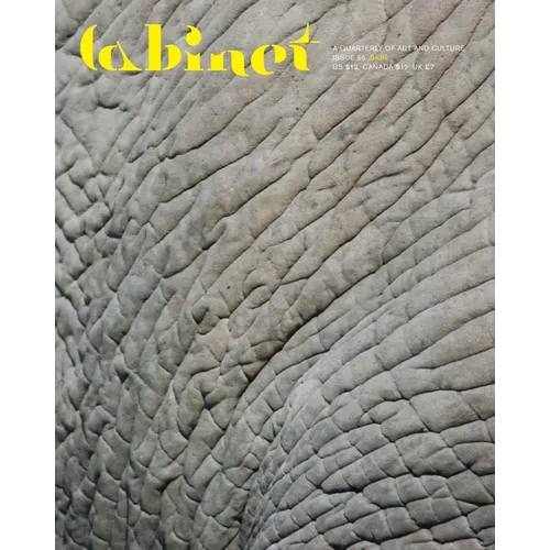 Cabinet 66 - Paperback