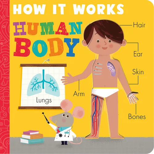 How It Works: Human Body - Board Book