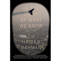 In the Light of What We Know - Paperback