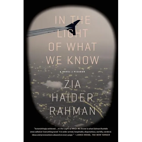 In the Light of What We Know - Paperback