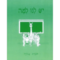 Yesh Lanu Llama: Book 1 - Workbook - Paperback