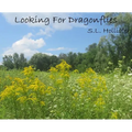 Looking For Dragonflies - Hardcover