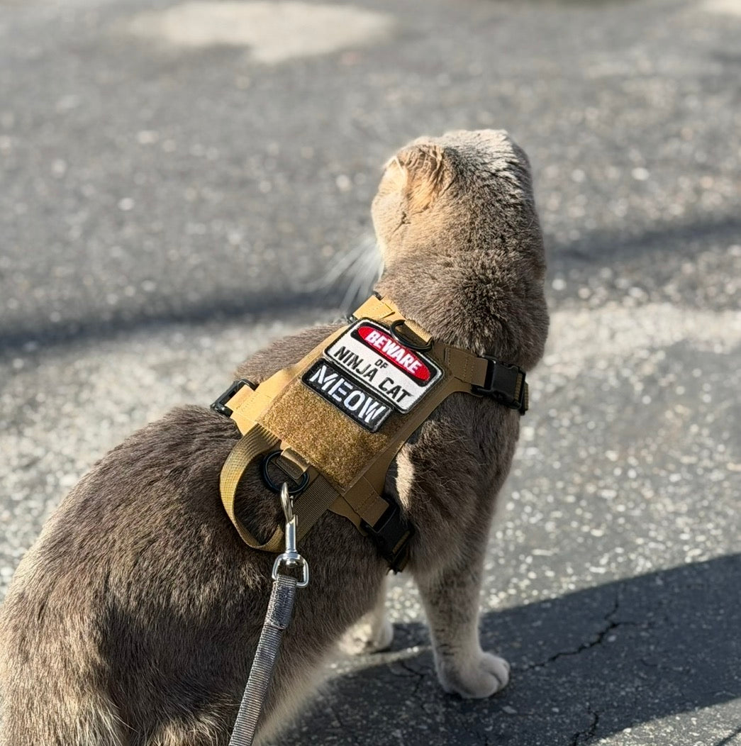 Beware of Ninja Cat Morale Patch