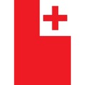 Tongan Dictionary: English To Tongan - Paperback