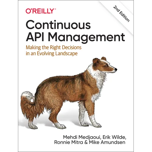 Continuous API Management: Making the Right Decisions in an Evolving Landscape - Paperback