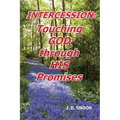 Intercession: Touching GOD through HIS Promises - Paperback