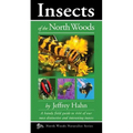 Insects of the North Woods - Paperback