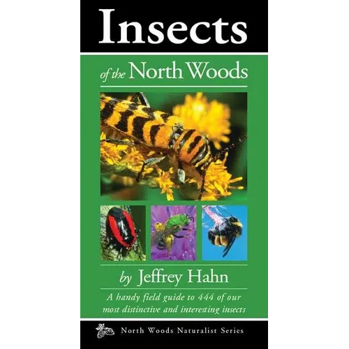 Insects of the North Woods - Paperback
