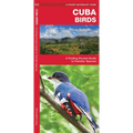 Cuba Birds: A Folding Pocket Guide to Familiar Species