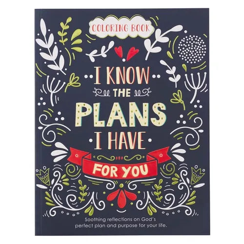 I Know the Plans Coloring Book - Paperback