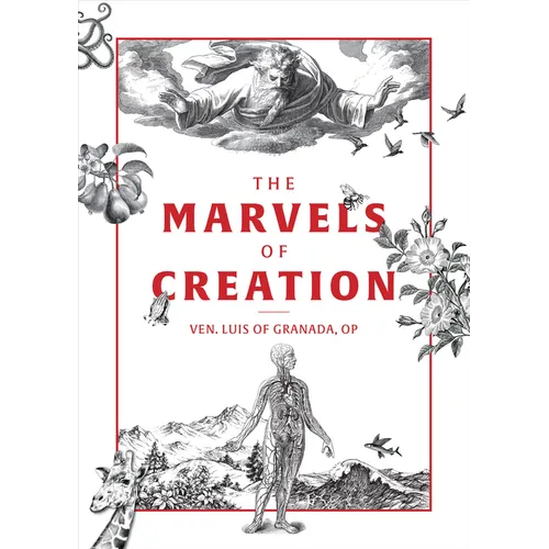 The Marvels of Creation - Paperback