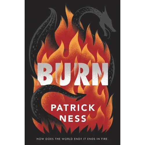 Burn - Paperback