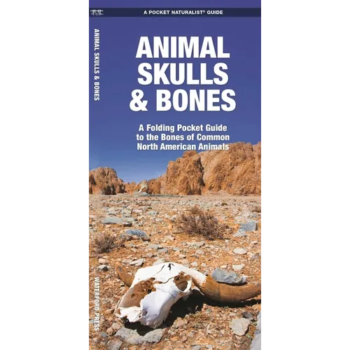 Animal Skulls & Bones: A Folding Pocket Guide to the Bones of Common North American Animals