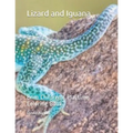 Lizard and Iguana: Brim Children's Playtime Coloring Book. - Paperback