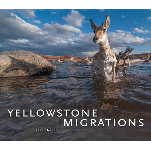 Yellowstone Migrations - Hardcover