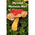 Mycelial Memento Mori - Paperback