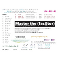Master the Factor - Paperback