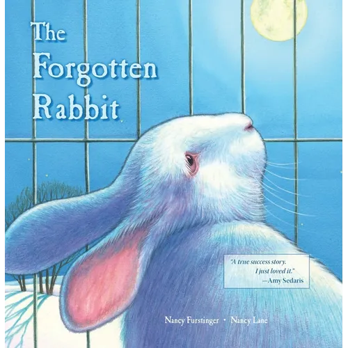 The Forgotten Rabbit - Hardcover