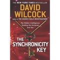 The Synchronicity Key: The Hidden Intelligence Guiding the Universe and You - Paperback