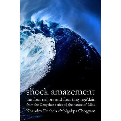 Shock Amazement - Paperback