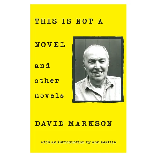 This Is Not a Novel and Other Novels - Paperback