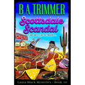 Scottsdale Scandal: a fun, romantic, thrilling adventure... - Paperback