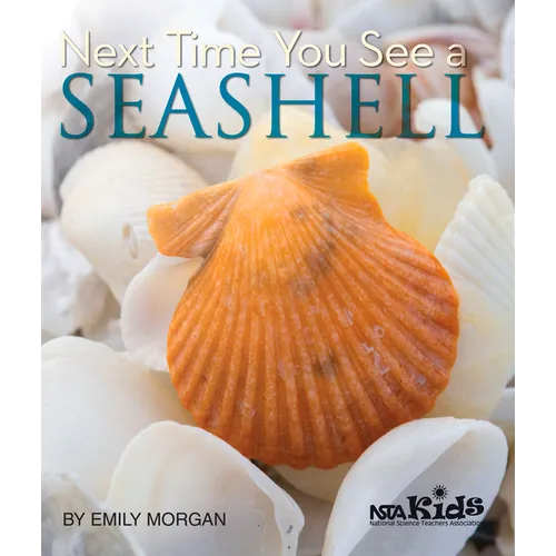 Next Time You See a Seashell - Paperback