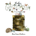 Codex Gastropoda: A Visual Meditation - Paperback