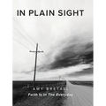 In Plain Sight: Faith Is In The Everyday - Hardcover