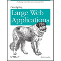 Developing Large Web Applications - Paperback