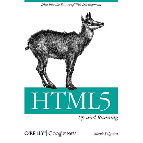 Html5: Up and Running: Dive Into the Future of Web Development - Paperback