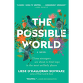 The Possible World - Paperback