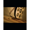 Screenplays: A Collection - Paperback