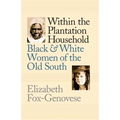 Within the Plantation Household: Black and White Women of the Old South