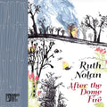 After the Dome Fire - Paperback