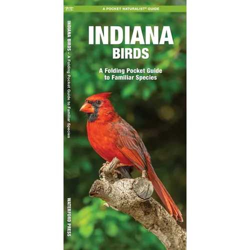 Indiana Birds: An Introduction to Familiar Species