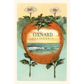 The Vintage Journal Strawberry with Ocean Scene Inside, Oxnard, California
