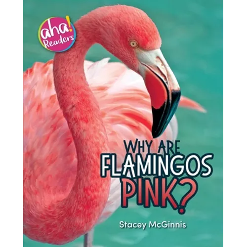 Why Are Flamingos Pink? - Paperback