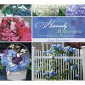 Heavenly Hydrangeas: A Practical Guide for the Home Gardener - Hardcover