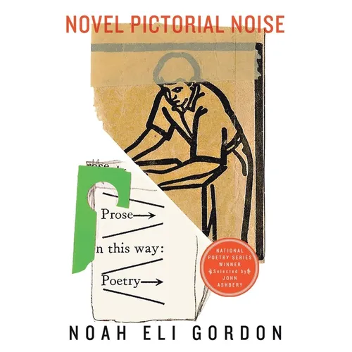 Novel Pictorial Noise - Paperback