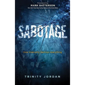 Sabotage: How Insecurity Destroys Everything - Paperback