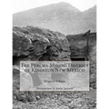 The Percha Mining District of Kingston New Mexico