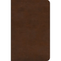 ESV Concise Study Bible(tm) (Trutone, Brown) - Imitation Leather