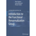 Introduction to the Functional Renormalization Group - Hardcover